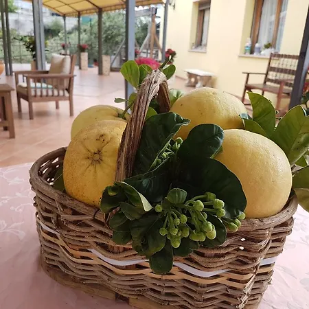 Al Nido Degli Aironi Farm stay Sanremo
