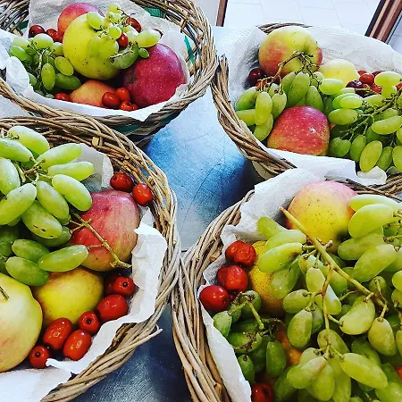 Al Nido Degli Aironi