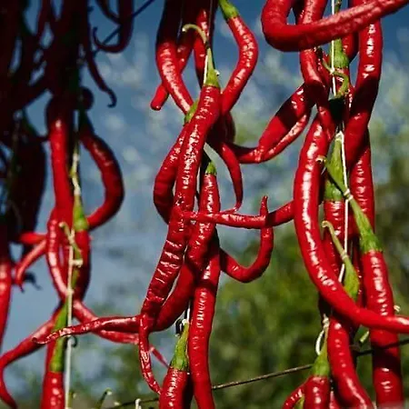 Al Nido Degli Aironi Farm stay Sanremo