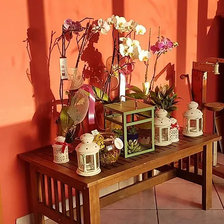 Farm stay Al Nido Degli Aironi *