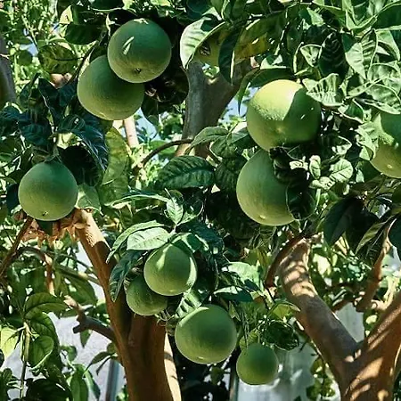 Al Nido Degli Aironi Farm stay Sanremo