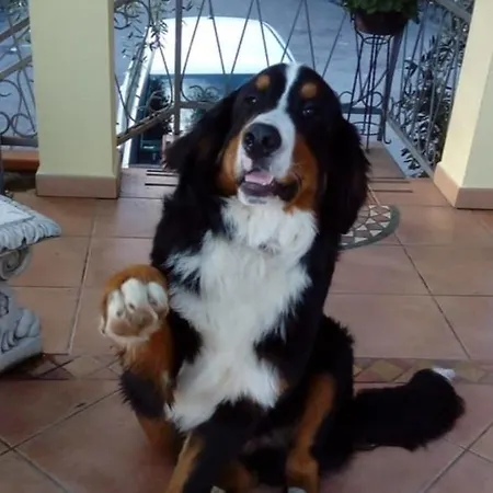 Al Nido Degli Aironi Vakantieboerderij