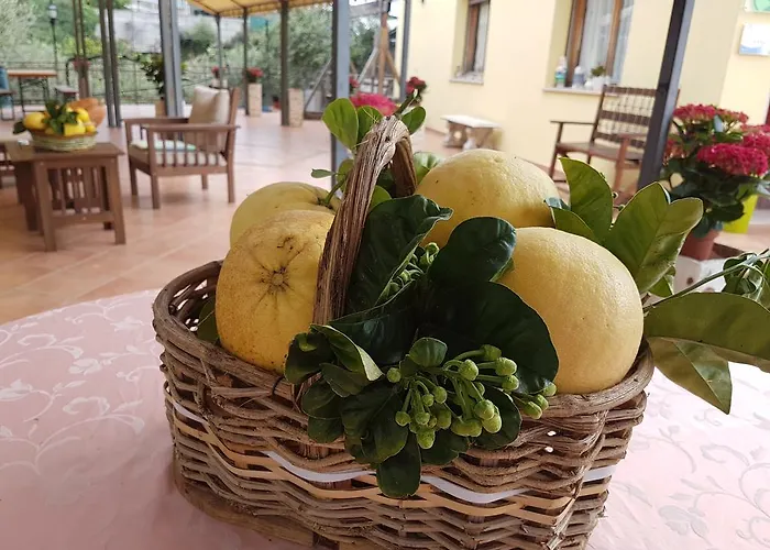 安格里图斯默阿尔尼德登格里农庄酒店 农家乐 圣雷默