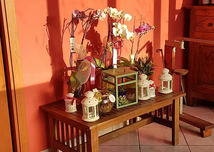 农家乐 安格里图斯默阿尔尼德登格里农庄酒店 *