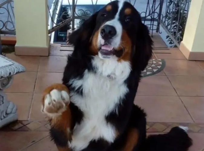 Al Nido Degli Aironi Vakantieboerderij