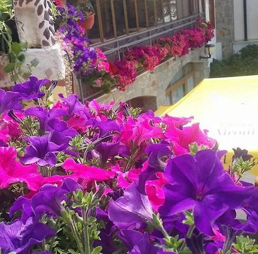 安格里图斯默阿尔尼德登格里农庄酒店 * 圣雷默